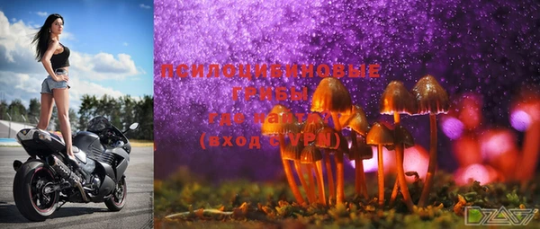 spice Баксан